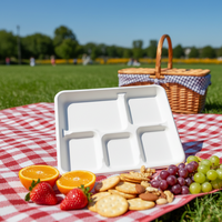 Assiette carrée en bagasse de canne à sucre avec couvercle, 10 pouces, écologique, réutilisable, jetable, moderne, pour desserts de mariage et de fête