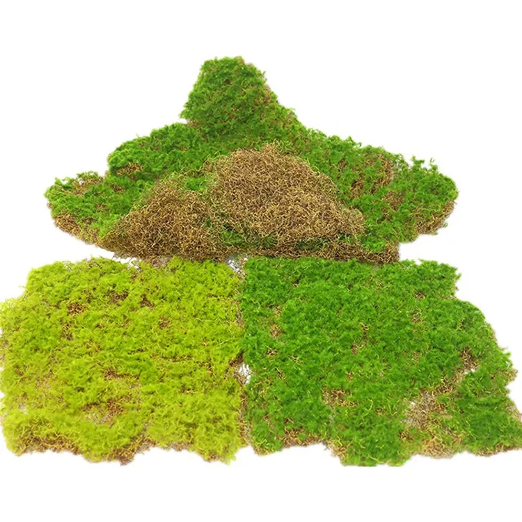 New design Artificial Potted Plants Dried Forest Green Vietnam Planting Orchid Decorative Moss for Indoor Planters