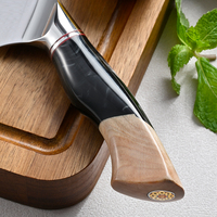 Couteau de chef japonais Gyuto de 9 pouces avec cœur en acier Damas VG10, ultra-affûté, pour la cuisine, avec manche en bois stabilisé et résine