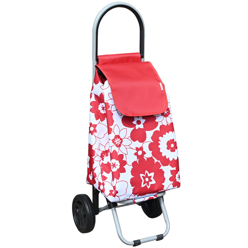 Yy26e fleurs rouges