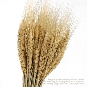 Composizioni Floreali Decorative Naturali Fatte a Mano con Fiori Secchi, Spighe di Grano e Accessori Floreali di <span class=keywords><strong>Orzo</strong></span> - Product Image 4