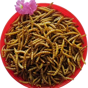 Yüksek protein mealworm kuru böcek evcil hayvan gıda tavuk ve hayvan yemi için kurutulmuş mealworms