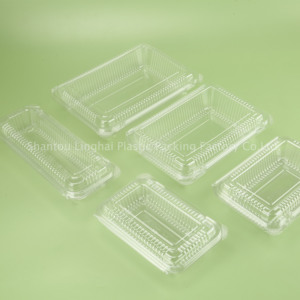 Hộp đựng xúc xích nhựa PET hình chữ nhật, trong suốt, đóng gói dạng clamshell, dùng cho nhà cung cấp bán buôn, tùy chỉnh, dùng để đựng đồ ăn nhanh, đồ ăn mang đi - Product Image 2