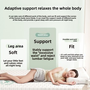 Matelas simple en mousse <span class=keywords><strong>à</strong></span> mémoire de forme pour étudiant en dortoir, housse de matelas, mobilier de maison, chambre <span class=keywords><strong>à</strong></span> coucher, tatami, appartement locatif, coussin spécial ultra-doux - Product Image 2