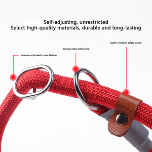 Guinzaglio di Lusso per Cani in Poliestere, Resistente ed Efficace per Controllare le Repulsive Accelerazioni del Cane - Product Image 4