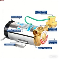 Pompe de surpression automatique pour eau chaude et froide en acier inoxydable 100W pour jardin, maison, douche, lavage