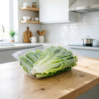 Boîtes d'emballage transparentes en plastique PET de qualité alimentaire pour fruits et légumes avec couvercle pour hamburgers, pizzas, sushis et en-cas