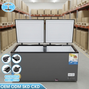 Congélateurs Horizontaux à Double Porte de 480L pour Usage Domestique et Commercial, Grande Capacité, Température Unique, OEM - Product Image 1