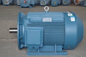 Moteur asynchrone triphasé monophasé basse tension basse vitesse série YE3 IE3 0,75 kW-375 kW, garantie 2 ans - Product Image 2