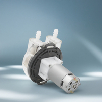 Pompe doseuse péristaltique micro LEFOO LFP403DB 24V 12V à commande CC, débit élevé 2900 min/ml pour système de dosage de traitement de l'eau
