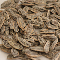 Graines de tournesol Pecon Date Coco Noix Caramel Citron Crème épicée Saveur Salage Rôtissage Sec Durci Graines de tournesol noires grillées