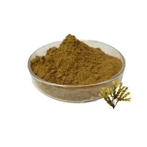 Irish Seamoss Extract Bladderwrack And Burdock In Bulk