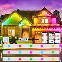 Luces Exteriores Permanentes Gouly con Controlador Inteligente, Luces LED Programables de 36v 24v, Luces de Navidad RGB Pixel