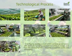 100% शुद्ध यूज़स प्रमाणित कार्बनिक चीनी औपचारिक ग्रेड A-AAAAAA माचचा पाउडर कम कटुता थोक - Product Image 4