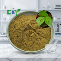 Extrait de racine de Zanthoxyllum (Shinyleaf Pricklyash) naturel en poudre 20:1, Extrait de Radix Zanthoxyli 10:1