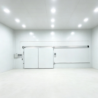 Congelador Comercial de Gran Capacidad y Almacenamiento en Frío con Alimentación CC, Refrigerante R410A, Ahorro de Energía, Habilitado para IoT, Almacenamiento a Baja Temperatura