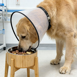 Tigelas Elevadas para Cães/Gatos com Alimentador Lento, Tigela de Bambu com Suporte de Aço Inoxidável - Resistente a Quedas - Product Image 4