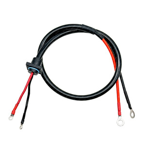 Custom 2-Core Ac Power Cord With Sr Tail Connector For Electric Golf Cart 10A <b>Pvc</b> Wire Sjtow Type C20 End - Product Image 1