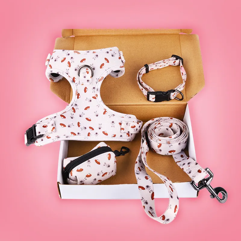 Custom Pet Accessories Private Label Customized Dog Harness And Leash Printing Fashion Design Own Custom Small Dog Harness Set