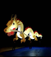 Marionnette de dragon gonflable de performance de défilé d'événement de carnaval avec la décoration d'éclairage