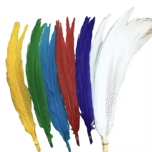 20-25cmシルバーキジの羽染めカラフルなシルバーキジの羽装飾用 - Product Image 5