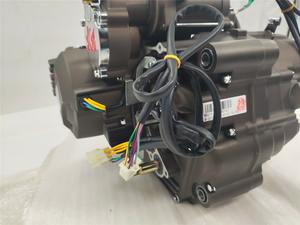 DAYANG LF 300cc raffreddato ad acqua motore tricycl 3 Ruote Assemblaggio Del Motore Del Motociclo di altre moto sistema di motore per ATV UTV - Product Image 6