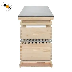 Nhà máy trực tiếp cung cấp 8 khung langstroth Bee Hive hộp