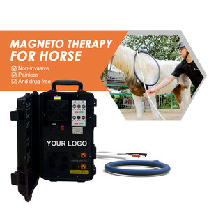 Máquina PEMF de Doble Canal para Caballos, la Más Vendida, para Relajar los Músculos Tensados y Mejorar la Relajación Muscular - Product Image 1