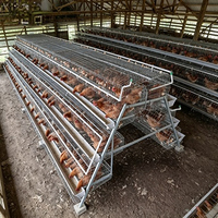 Cage à poules pondeuses de type A, conception personnalisée, galvanisée à chaud, cage en batterie à 3/4 niveaux pour ferme avicole, directement de l'usine