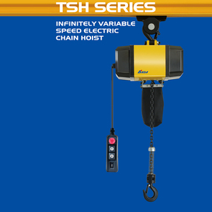 รอกโซ่ไฟฟ้า BADA 0.5T 1T 2T 3T 5T 10T <span class=keywords><strong>20T</strong></span> ราคาประหยัด - Product Image 5