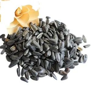 Nuovo raccolto di semi di girasole con olio nero per semi di uccelli