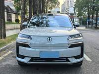 PRÊT À EXPÉDIER - DENZA N9 2.0T D'OCCASION