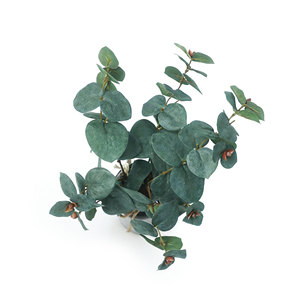 Tiges d'eucalyptus artificielles dans un vase en <span class=keywords><strong>verre</strong></span> noir – Plante artificielle élégante pour la maison, le bureau, la ferme, ou comme centre de table de mariage - Product Image 3