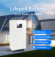 Sistema de Almacenamiento de Energía para el Hogar, Batería de Almacenamiento de Energía Solar, Contenedor de Almacenamiento de Energía, Batería de Almacenamiento de Energía para el Hogar, Batería Lifepo4