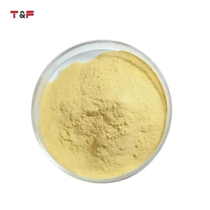 ผงไลโคโปเดียมสกัดจากพืชธรรมชาติคุณภาพสูง 1 กก - Product Image 2