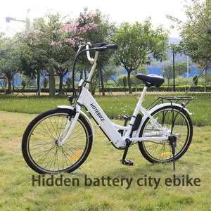 알루미늄 전기 자전거 레이디 ebike 24 인치 전기 자전거 26 인치 36v 250w 350w 48v 500w 전자 자전거