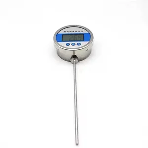 Lokale Temperatuur Display Instrument Pt100 Thermische Batterij Aangedreven Geïntegreerde Digitale Display Thermometer