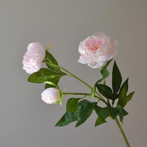 Faux 3-Đầu Hoa Mẫu Đơn Nhà Máy Bất Cảm Ứng Nhân Tạo Hoa Cho Giáng Sinh Của Mẹ Ngày Được Sản Xuất Để Trông Giống Như Thật - Product Image 3