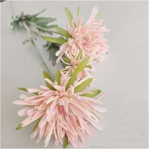 BH230047 Maceta pequeña de plástico verde con <span class=keywords><strong>planta</strong></span> de <span class=keywords><strong>IRIS</strong></span> Rosa artificial Decoración de flores de un color para <span class=keywords><strong>planta</strong></span> en maceta de seda de fiesta - Product Image 4