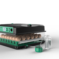 Prix de gros - Incubateur automatique miniature pour 36 œufs de poule - En vente