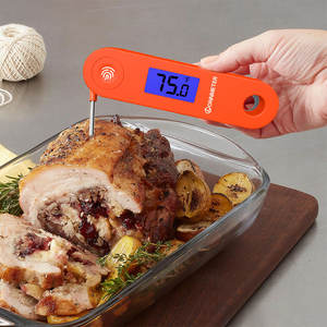 Termômetro Digital para Alimentos Lonnmeter LFT-01 Recarregável IP68 à Prova d'Água com Sonda de Aço Inoxidável 304 Alta Precisão 0.5C para Churrasco - Product Image 2