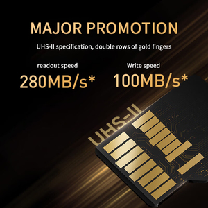 Carte mémoire Lexar Professional GOLD 128 Go 256 Go UHS-II <span class=keywords><strong>Micro</strong></span> TF <span class=keywords><strong>SDXC</strong></span> C10 U3 <span class=keywords><strong>V60</strong></span> A1 4K UHD pour drones et appareils photo - Product Image 2