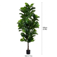 FLOWORLD Langlebiger Immergrüner Geigenblatt-Feigenbaum 1,83 m Hoch Künstlicher Metalltopf 183 cm H x 35 cm T Innen-/Außendekoration