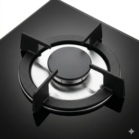 Cuisinière moderne à induction et gaz 2 feux, gaz naturel, classe A en termes d'efficacité énergétique, usage domestique, allumage électrique