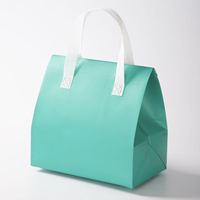 Sac isotherme personnalisé en tissu non tissé écologique avec doublure en aluminium pour garder les aliments et les boissons au frais