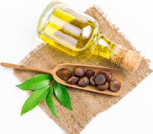 ツバキ油有機ジャポニカ種子抽出物冷プレス100% 純粋天然ツバキ油 - Product Image 3