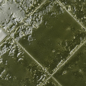 Piastrella Verde Bahia-13 13x13 Cm Spessore 9 Mm Lucida con Bordi Irregolari - Product Image 6