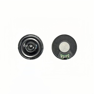 30mm Vòng 100ohm 0.2W Mylar sừng siêu mỏng loa từ bên trong - Product Image 1
