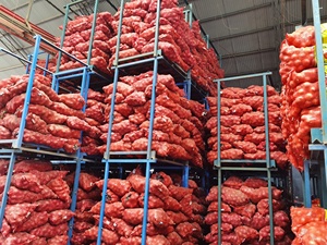 Giá tốt nhất bán buôn 20kg rau túi cho màu vàng và màu đỏ tươi hành tây bao gồm hẹ trực tiếp từ Trung Quốc - Product Image 2