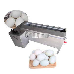 Machine de nettoyage d'œufs en acier inoxydable à haute efficacité, fonctionnement automatique, type brosse, sans blocage, sans bris, fiable - Product Image 2